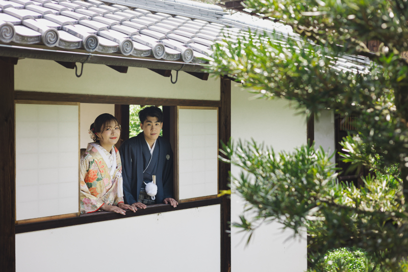 隙間からひょっこり