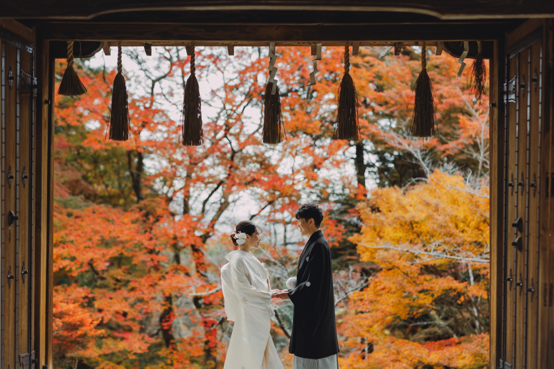 フレームの中に