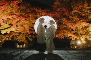 贅沢な紅葉ロケ