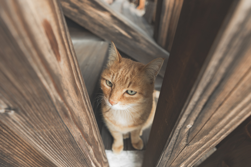 到着までの戯れ