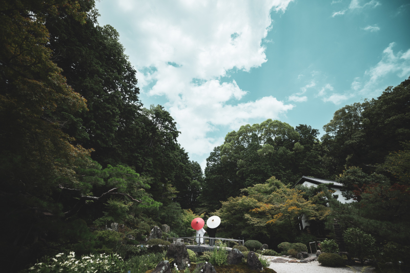 広々としたお庭