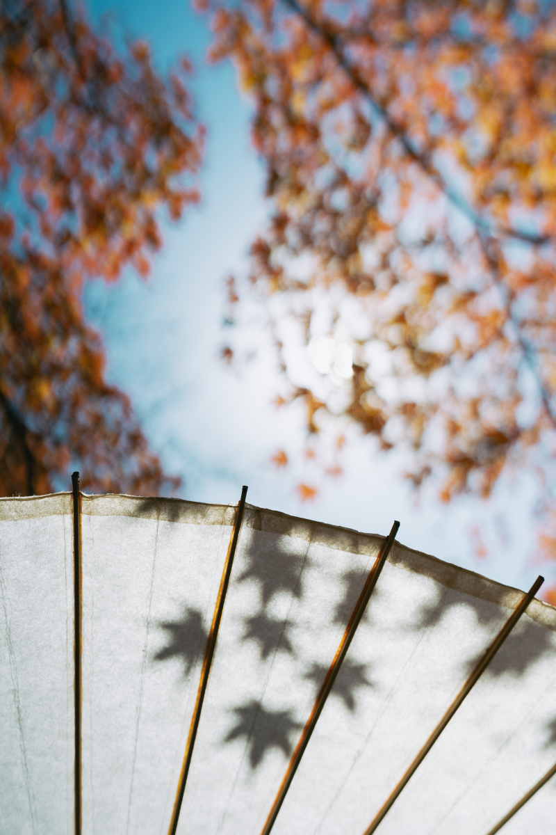 秋の空と紅葉と、時々二人
