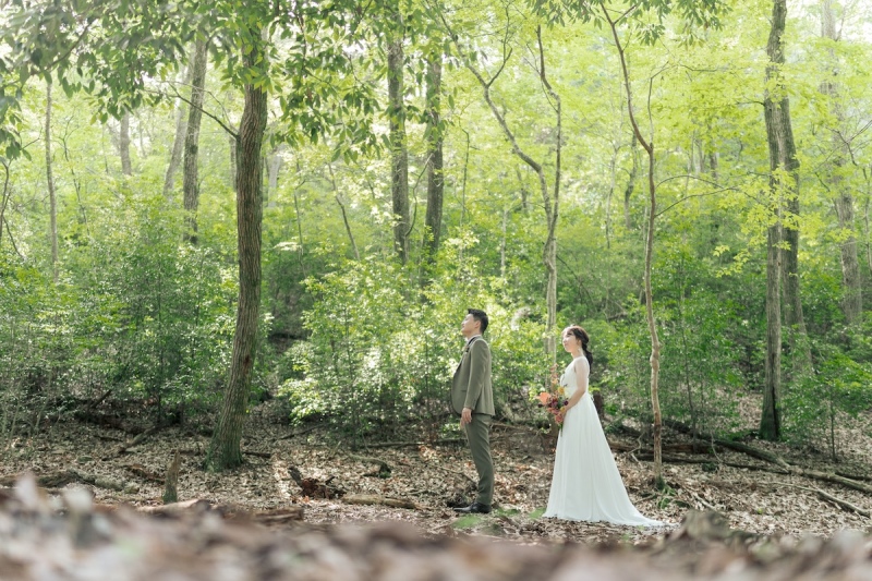 木々に囲まれて