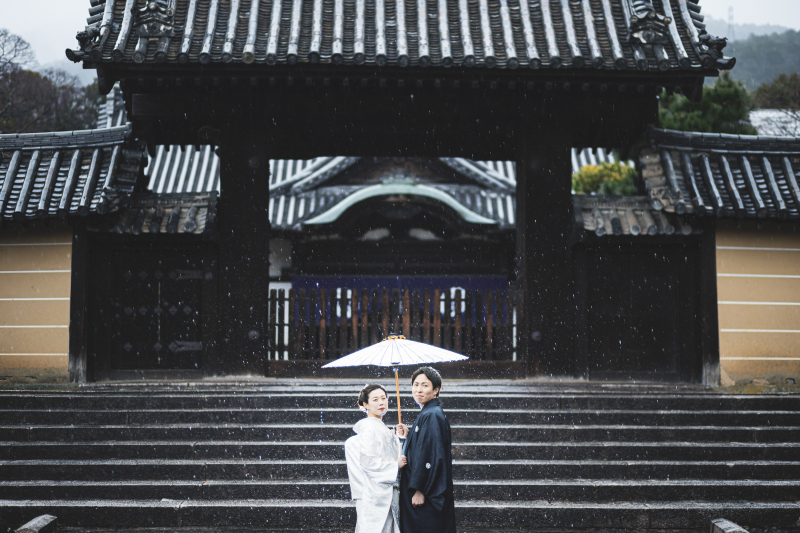 天候によって撮れるもの