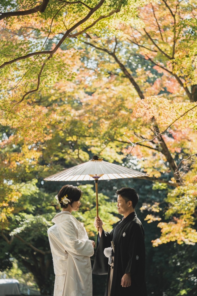 見頃はまだでも