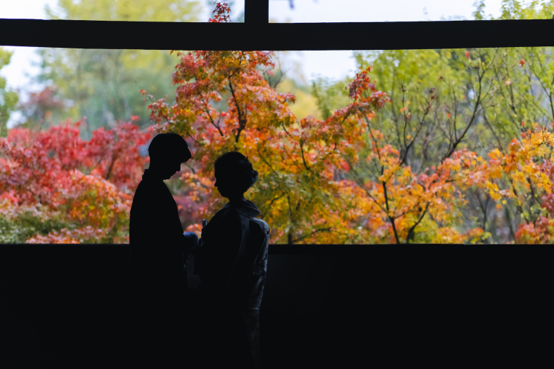 紅葉を背景にシルエット写真を