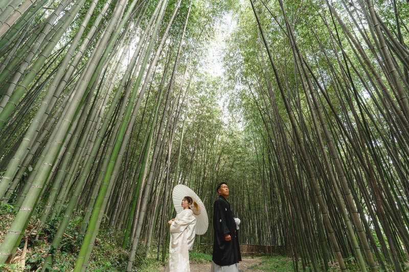 自然が多く、写真に奥行きが出る