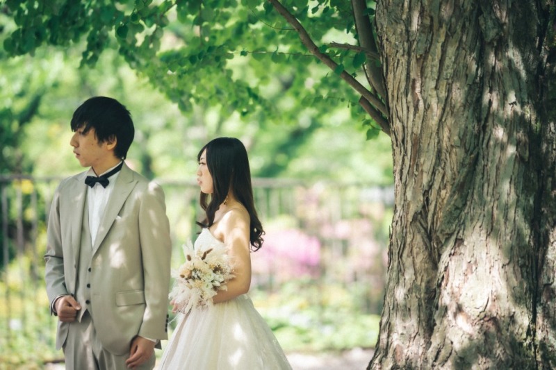 あたたかな木漏れ日