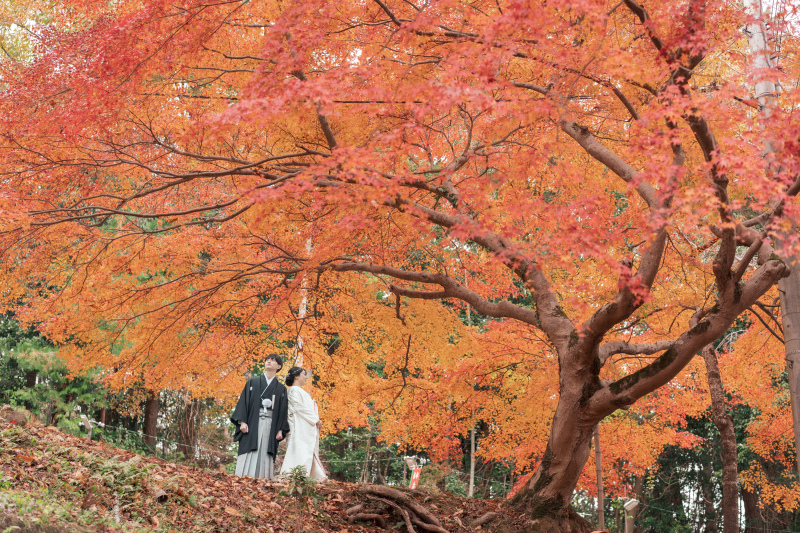 紅葉前撮り