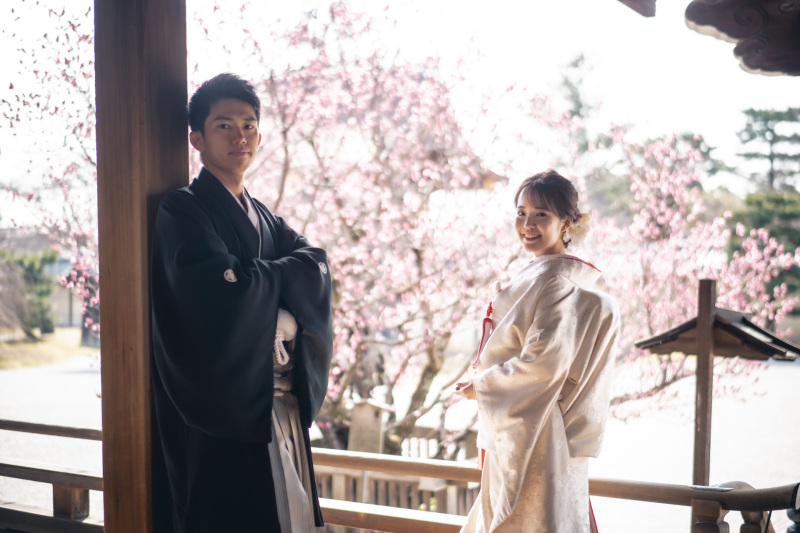 日本庭園に実る梅