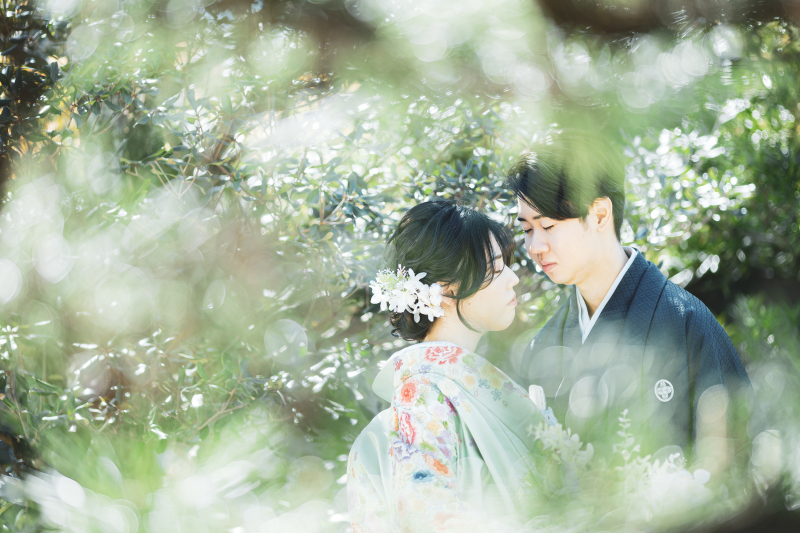 新緑のはじまり