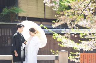 美しい葉桜のシーズンが近づいてきました