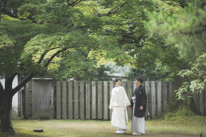 新緑の雲みたく
