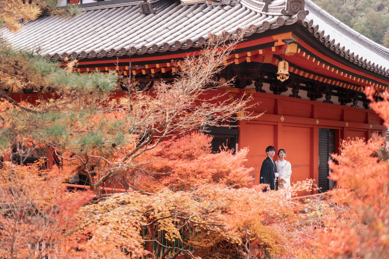 とんでもないの景色