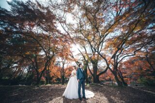 華やかな秋に誘われて