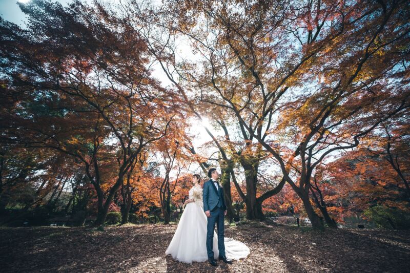 華やかな秋に誘われて