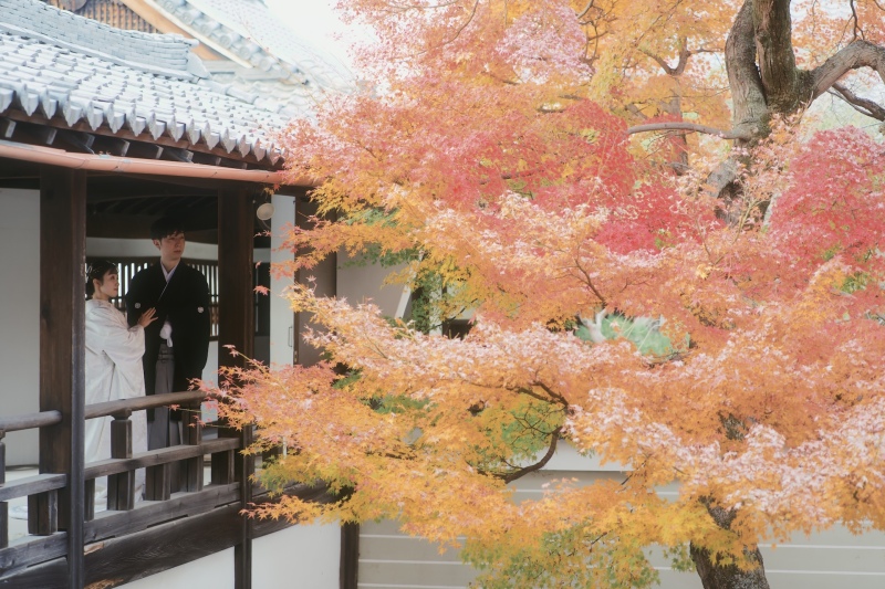 あっちにもこっちにも