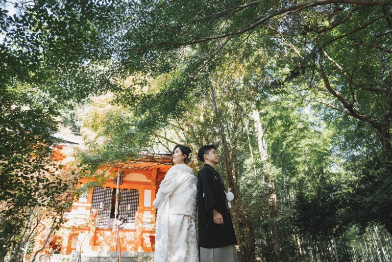 11月になっても緑の中で