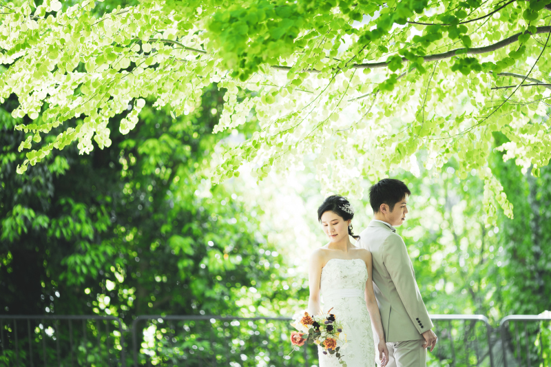 やっぱり西陽の有り難さ