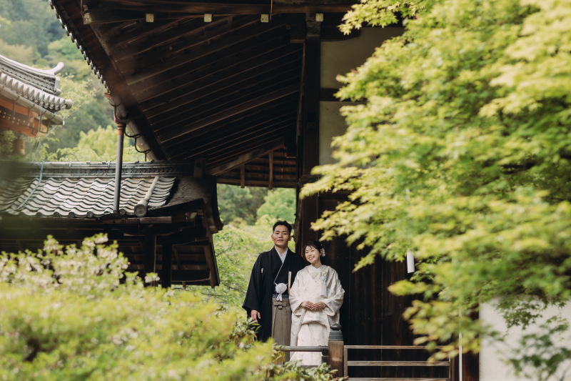 新緑の毘沙門堂