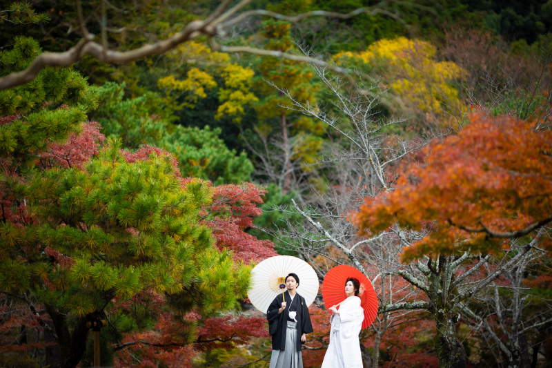 画面一杯に自然を