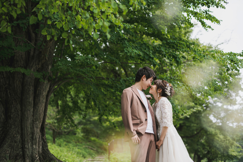 大きな木の下で