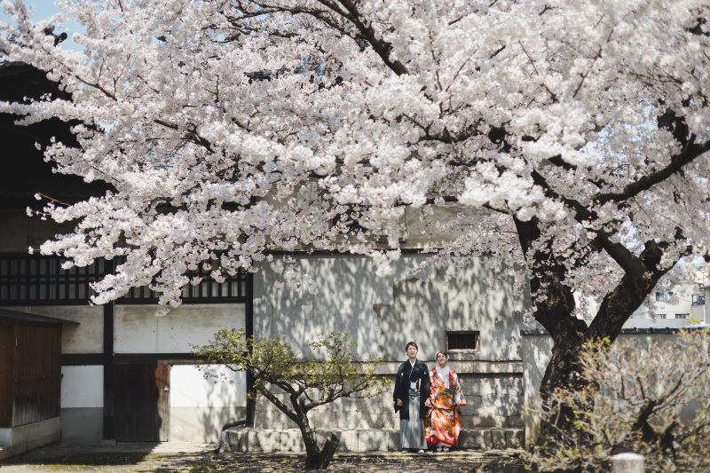 桜の木と一緒に