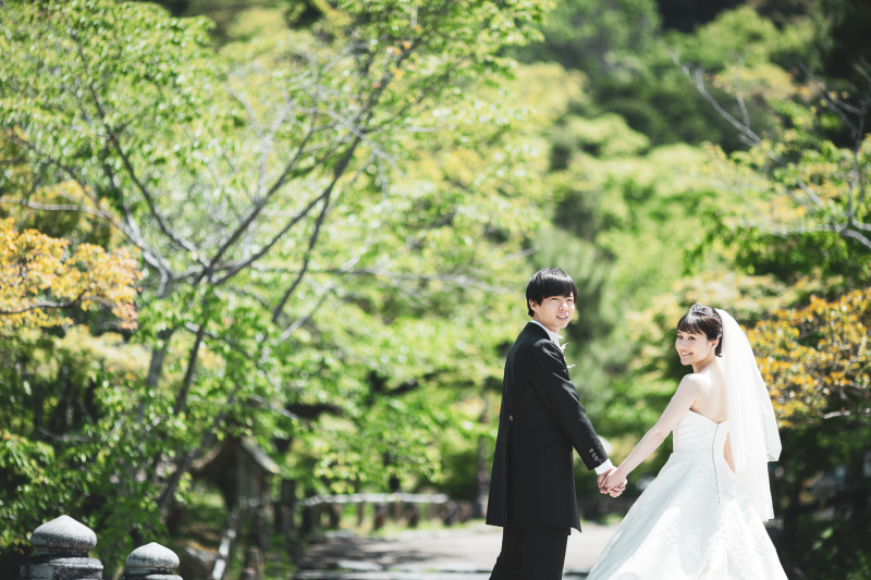 新緑の円山公園