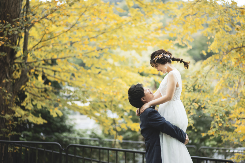 イチョウの色具合