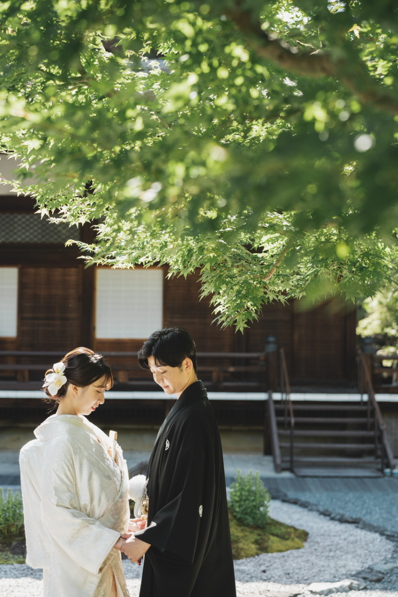 西陽と緑の中で