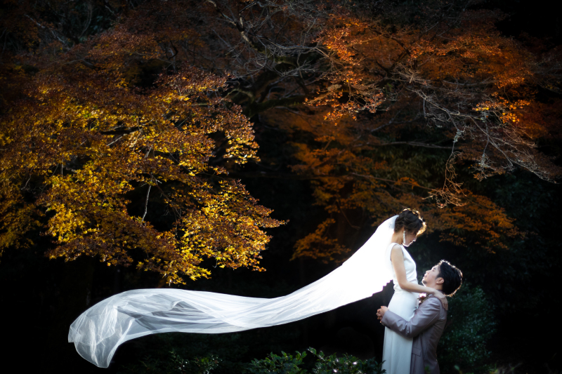 見せたい所だけ