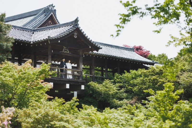 いろいろな角度から