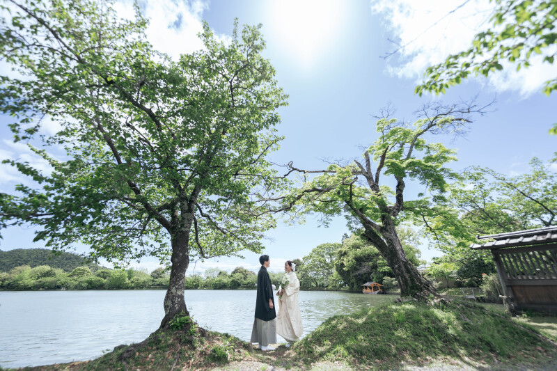 真言宗大覚寺派の大本山 