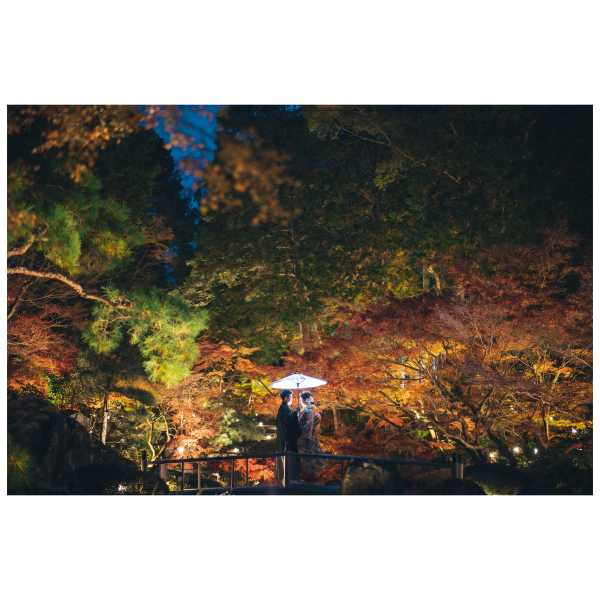 美しい景色の中