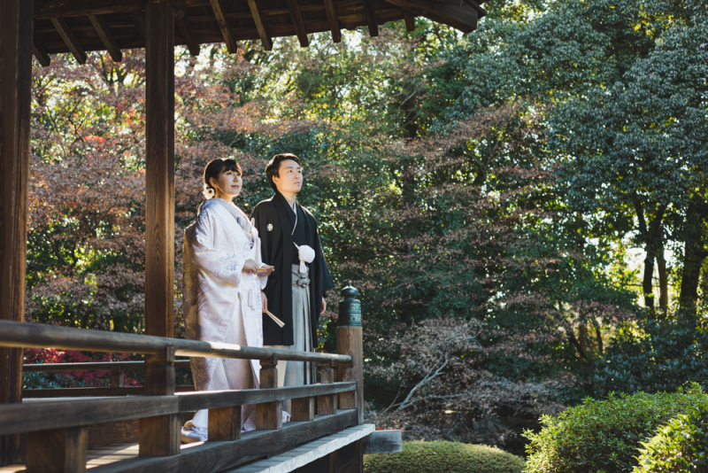 遠くを見つめて