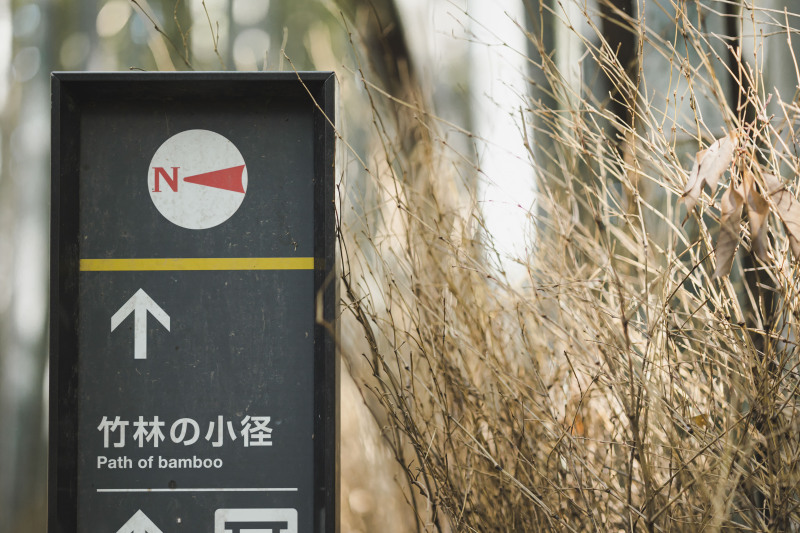 竹林の小径