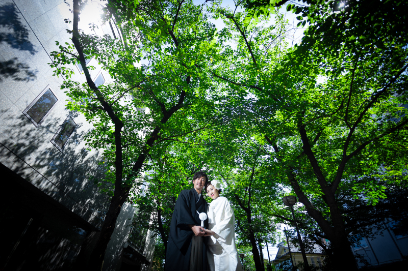 春だとここは満開の桜ですが…