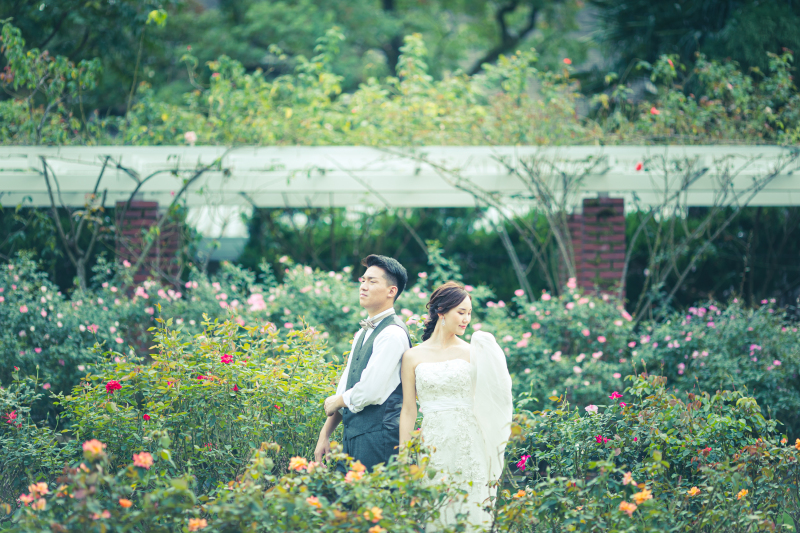 かわいいお花の中で