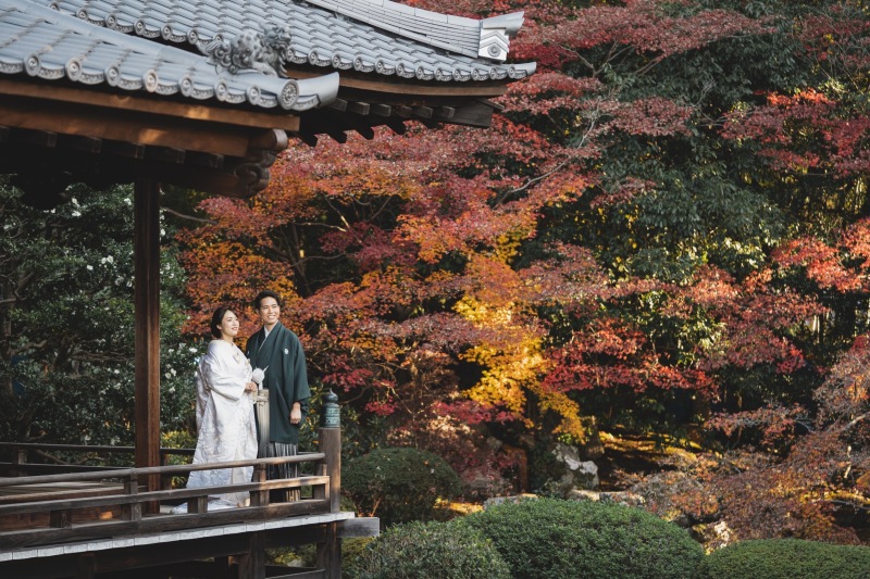 紅葉で
