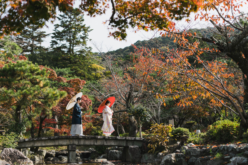 色のコントラスト