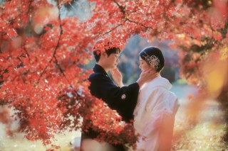 秋の贅沢なロケ撮影