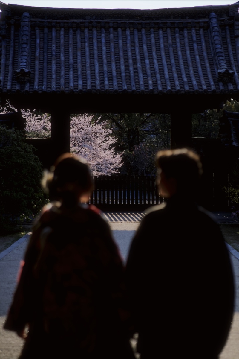 境内からの眺め