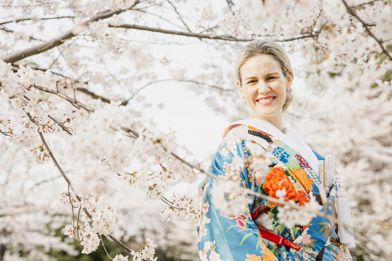 桜×色打掛の美しいコントラスト
