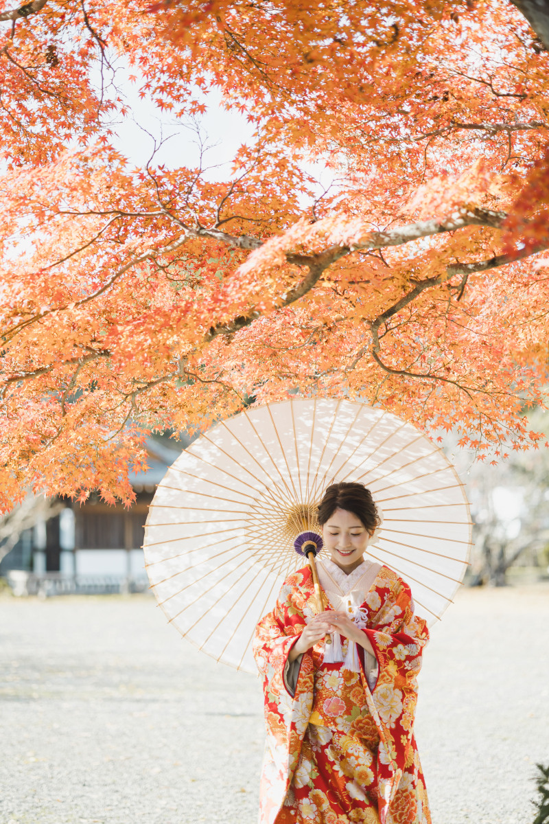 20以上ある撮影シーン