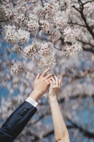 ENISHI PHOTO WEDDING_【桜ロケーション】