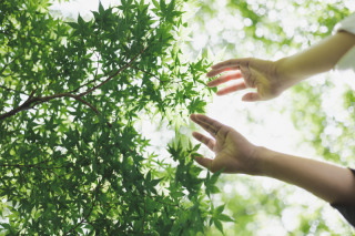 ENISHI PHOTO WEDDING_3月、4月、　5月のおすすめロケーション