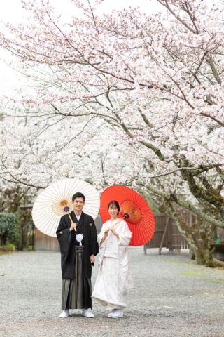 ENISHI PHOTO WEDDING_【桜ロケーション】