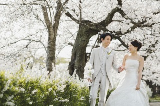 ENISHI PHOTO WEDDING_【桜ロケーション】