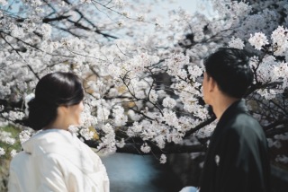 ENISHI PHOTO WEDDING_【桜ロケーション】