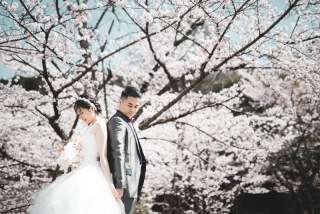 ENISHI PHOTO WEDDING_【桜ロケーション】